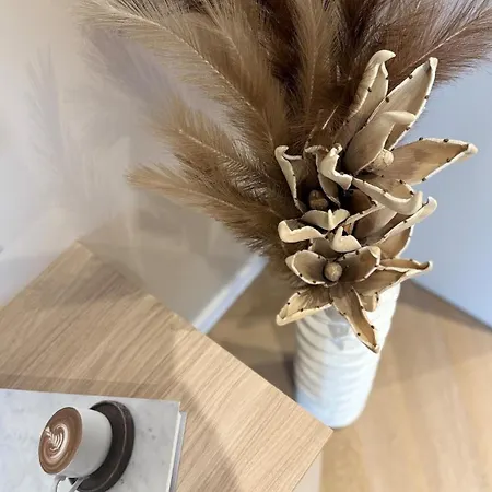 Brand New & Cozy Pulko 3 דירה *
